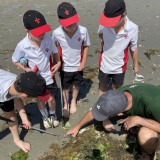 Y4 visit East Head and West Wittering