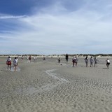 Y4 visit East Head and West Wittering