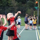 U8 netball tournament