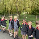 Zebras and exploration at Marwell Zoo