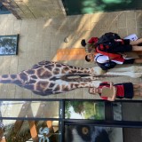 Year 5 at Marwell Zoo