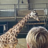 Year 5 at Marwell Zoo