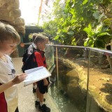 Year 5 at Marwell Zoo