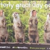 Year 5 at Marwell Zoo