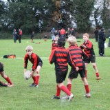 boys playing rugby