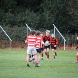 boys playing rugby