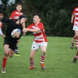 boys playing rugby