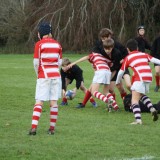 boys playing rugby