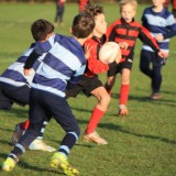 rugby