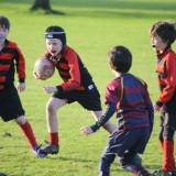 rugby