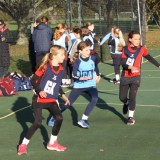 girls playing netball