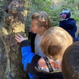 Hunt for the Gruffalo in the woods at Westbourne House Pre-Prep