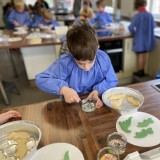 Biscuit decorating