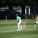 Boys Years 5 and 6 Inter-Patrol Cricket