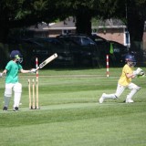 Boys Years 5 and 6 Inter-Patrol Cricket