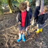 Dinosaur footprints in the woods.