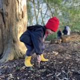 Dinosaur footprints in the woods.