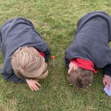 Year 4 science on the front lawn