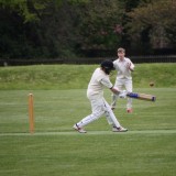 Cricket vs. Cranleigh