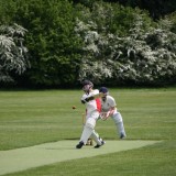 Cricket vs. Seaford College