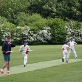 Cricket vs. Seaford College