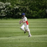 Boys Cricket vs. Brighton College