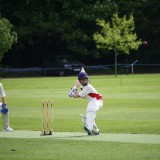 Boys Cricket vs. Brighton College