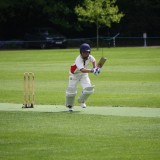 Boys Cricket vs. Brighton College