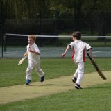 Boys Cricket vs. Brighton College