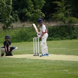 Cricket vs. Seaford College