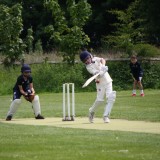 Cricket vs. Seaford College