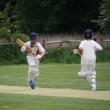 Cricket vs. Seaford College