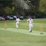 Cricket vs. Cranleigh