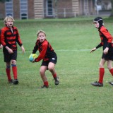 Boys U13 and U12 Rugby vs. Aldro