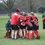 Boys U13 and U12 Rugby vs. Aldro