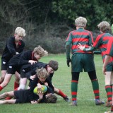 Boys U13 and U12 Rugby vs. Aldro