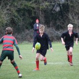 Boys U13 and U12 Rugby vs. Aldro