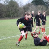 Boys U13 and U12 Rugby vs. Aldro