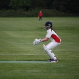 Cricket vs. Cranleigh