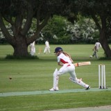 Cricket vs. Seaford College