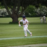 Cricket vs. Seaford College