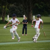 Cricket vs. Seaford College