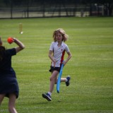 Cricket vs. Seaford College