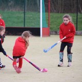 Girls U8 hockey