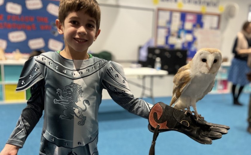 knights and princesses day falconry