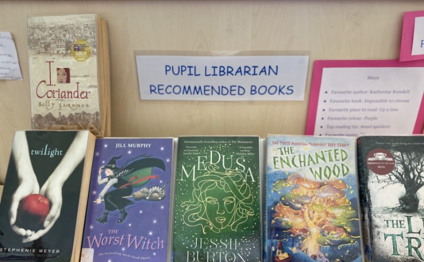 library reviews by pupils