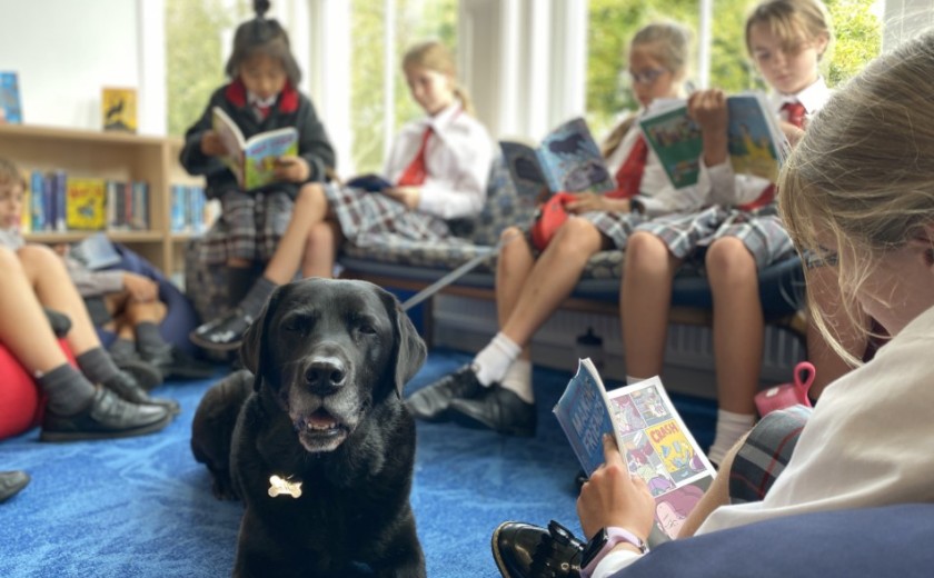 reading to a dog