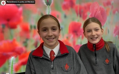 girls with poppies in backgroun