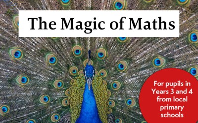 Magic of Maths peacock image